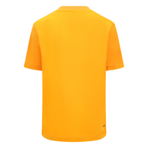 NEW BALANCE BIRMINGHAM PHOENIX JUNIOR SS TRAINING JERSEY 23/24