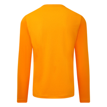 NEW BALANCE BIRMINGHAM PHOENIX MENS LS TRAINING JERSEY 23/24