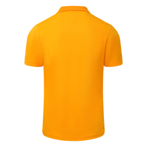 NEW BALANCE BIRMINGHAM PHOENIX MENS TRAINING POLO 23/24